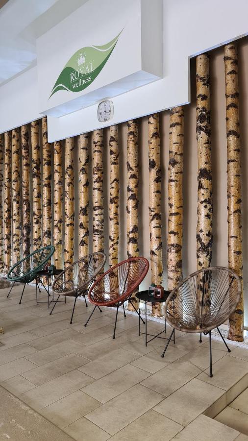 Hotel Royal Spa Banja Koviljača Εξωτερικό φωτογραφία