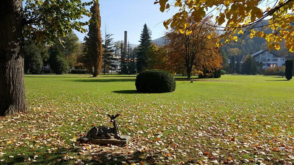 Hotel Royal Spa Banja Koviljača Εξωτερικό φωτογραφία