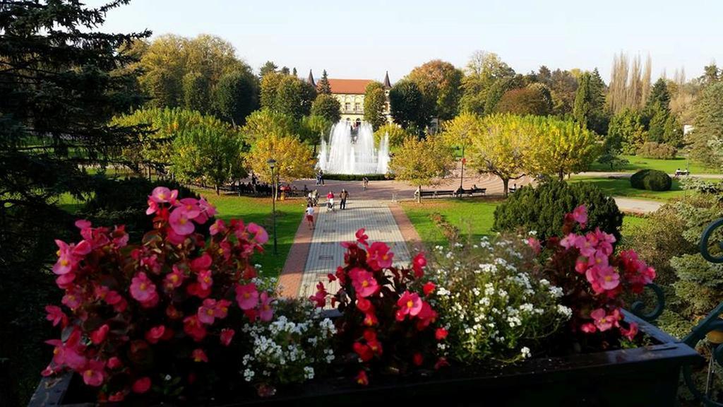 Hotel Royal Spa Banja Koviljača Εξωτερικό φωτογραφία