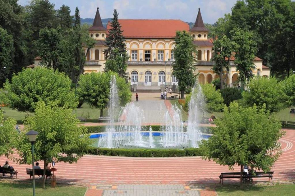 Hotel Royal Spa Banja Koviljača Εξωτερικό φωτογραφία